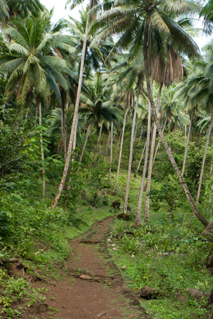 NukuHiva07-9302