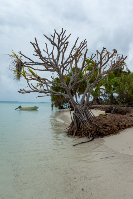 Aitutaki-4316