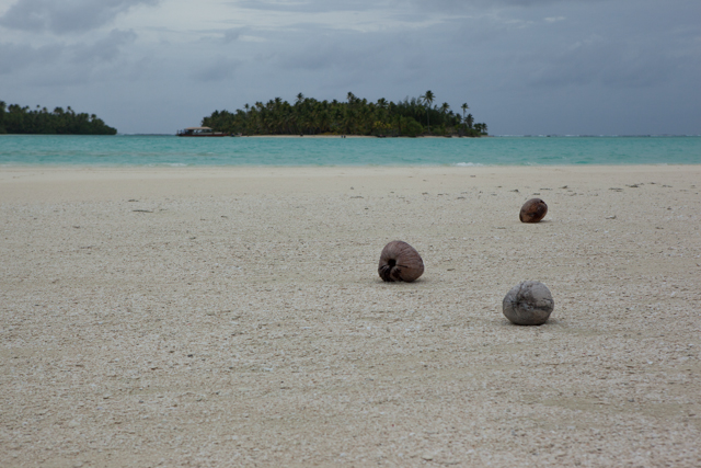 Aitutaki-4361