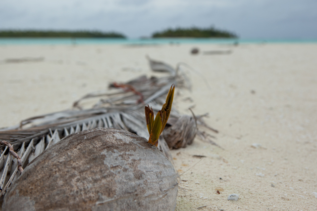 Aitutaki-4364